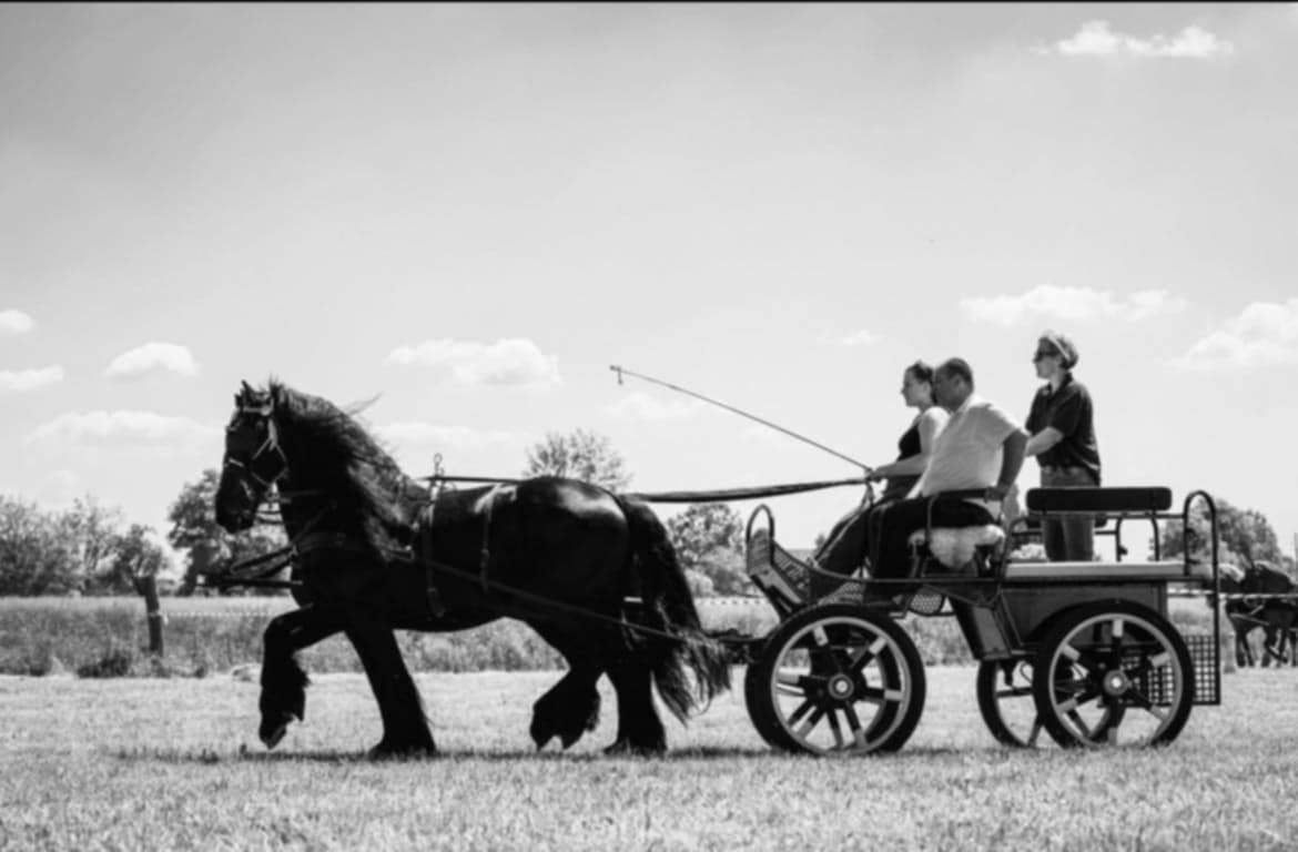 Kmetija Kelc - slika 3