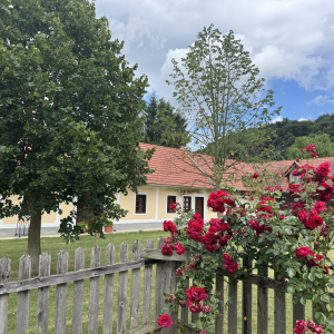 Djočanova domačija