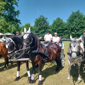 Alternative view of Kmetija Kelc