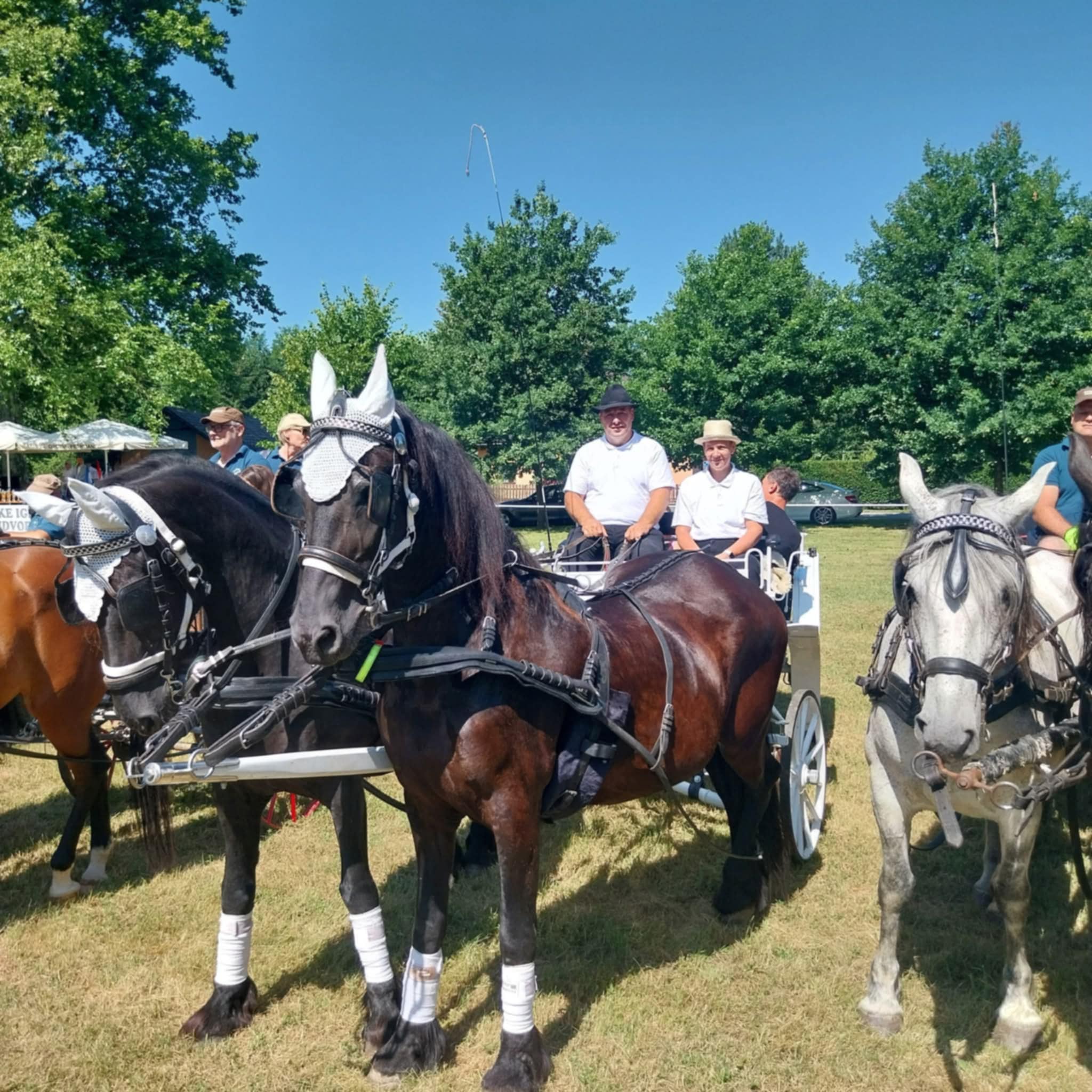 Kmetija Kelc - slika 2