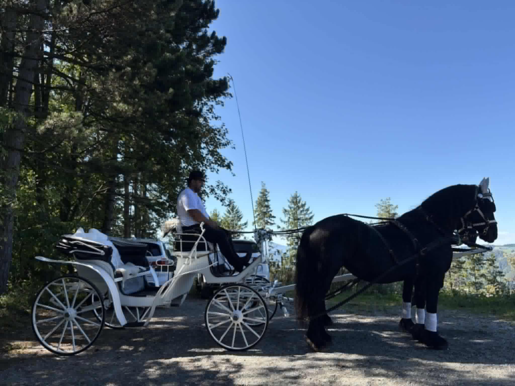 Kmetija Kelc - slika 4