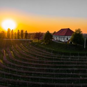 Alternative view of Degustacija 5 šiponov ob prigrizku na zidanici Malek