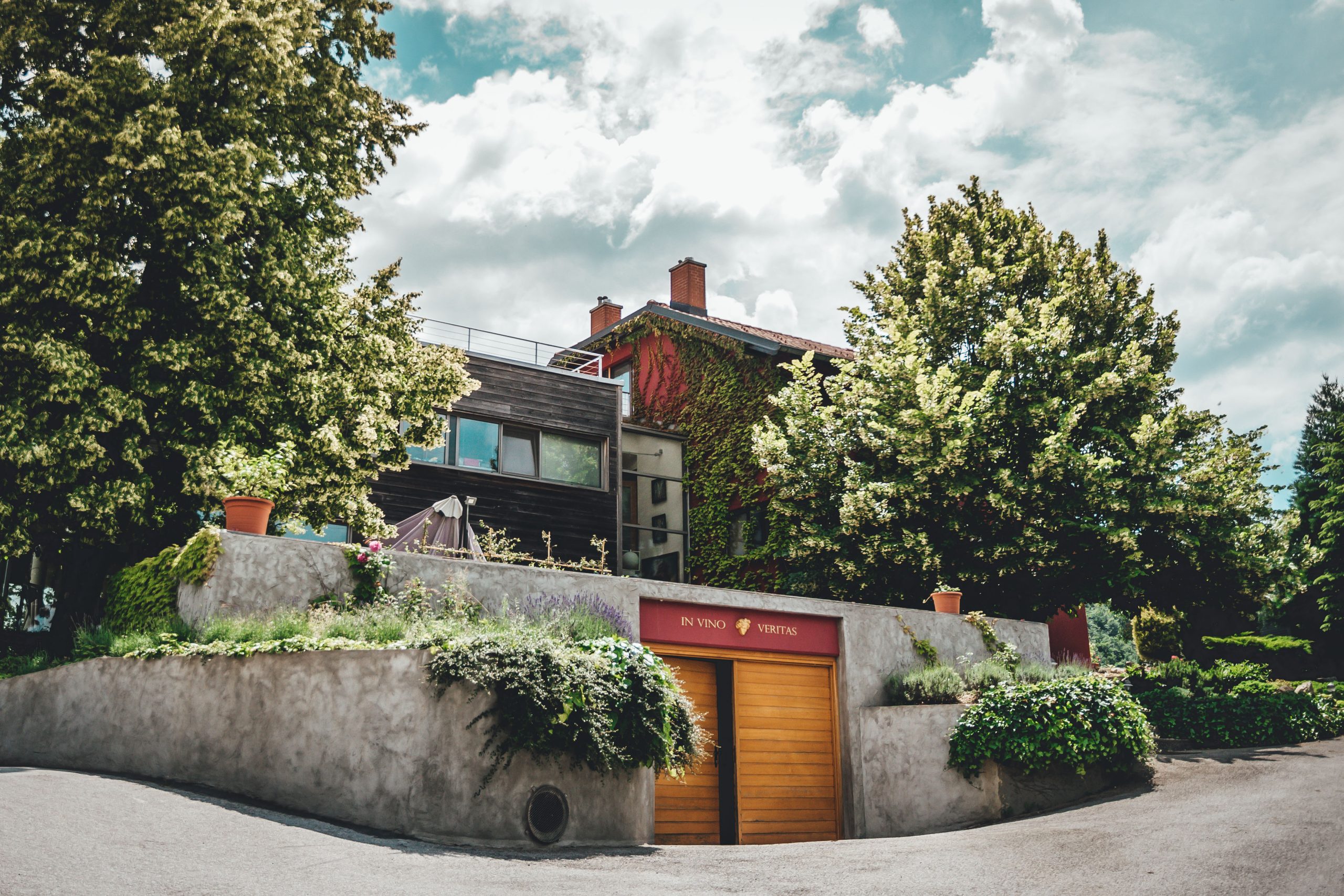 DOŽIVETJE VIN SANCTUM - slika 6