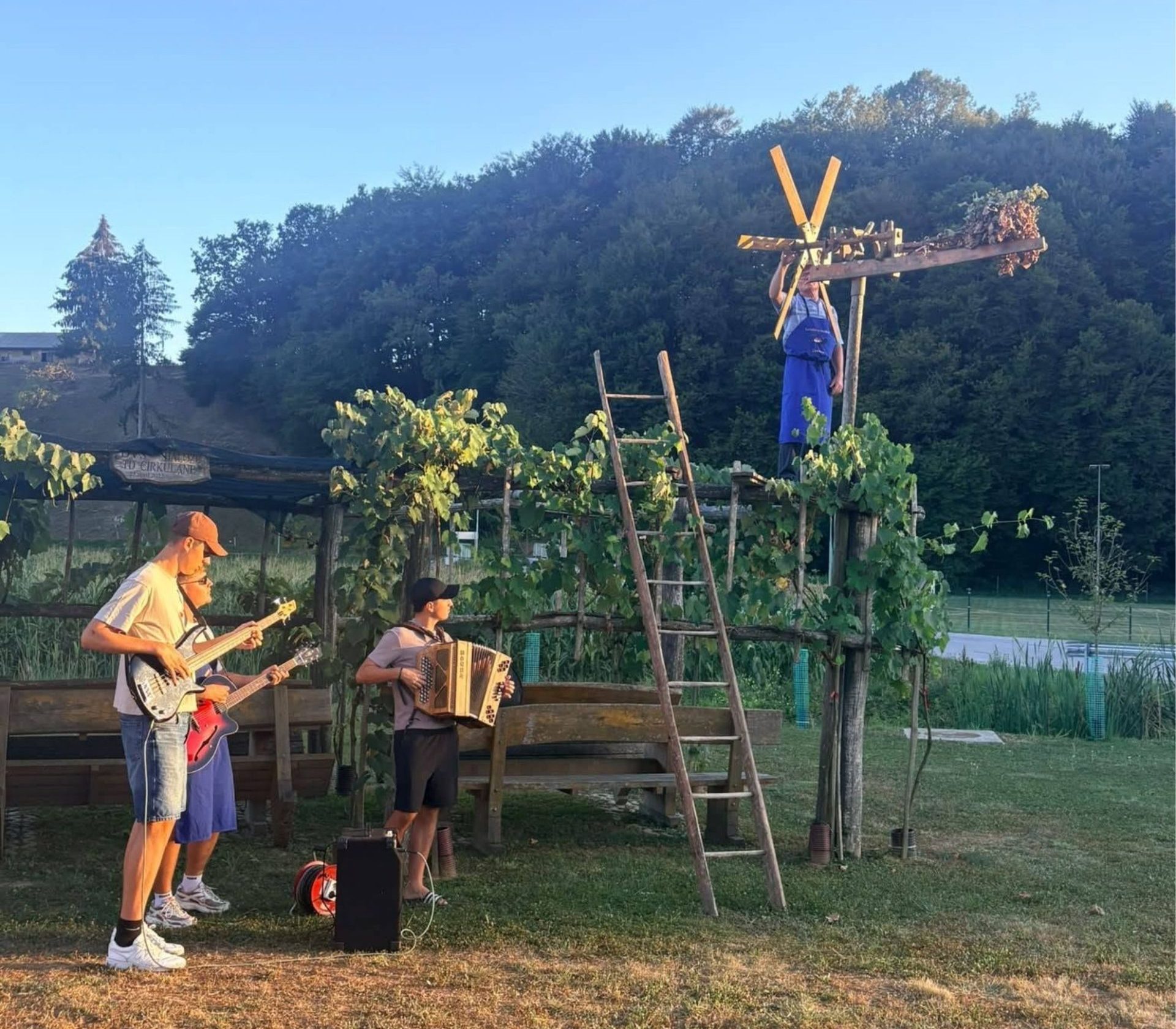Doživetje martinovanja v Halozah
